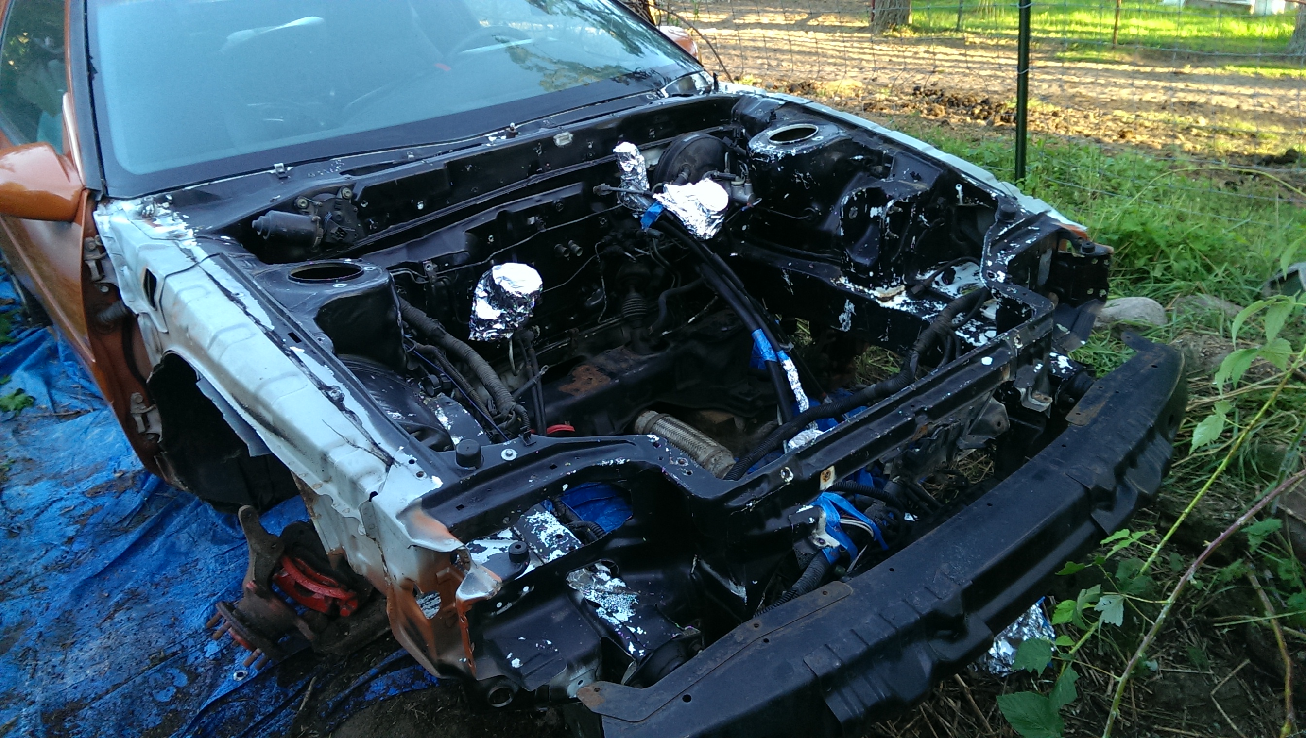 cleanedBay