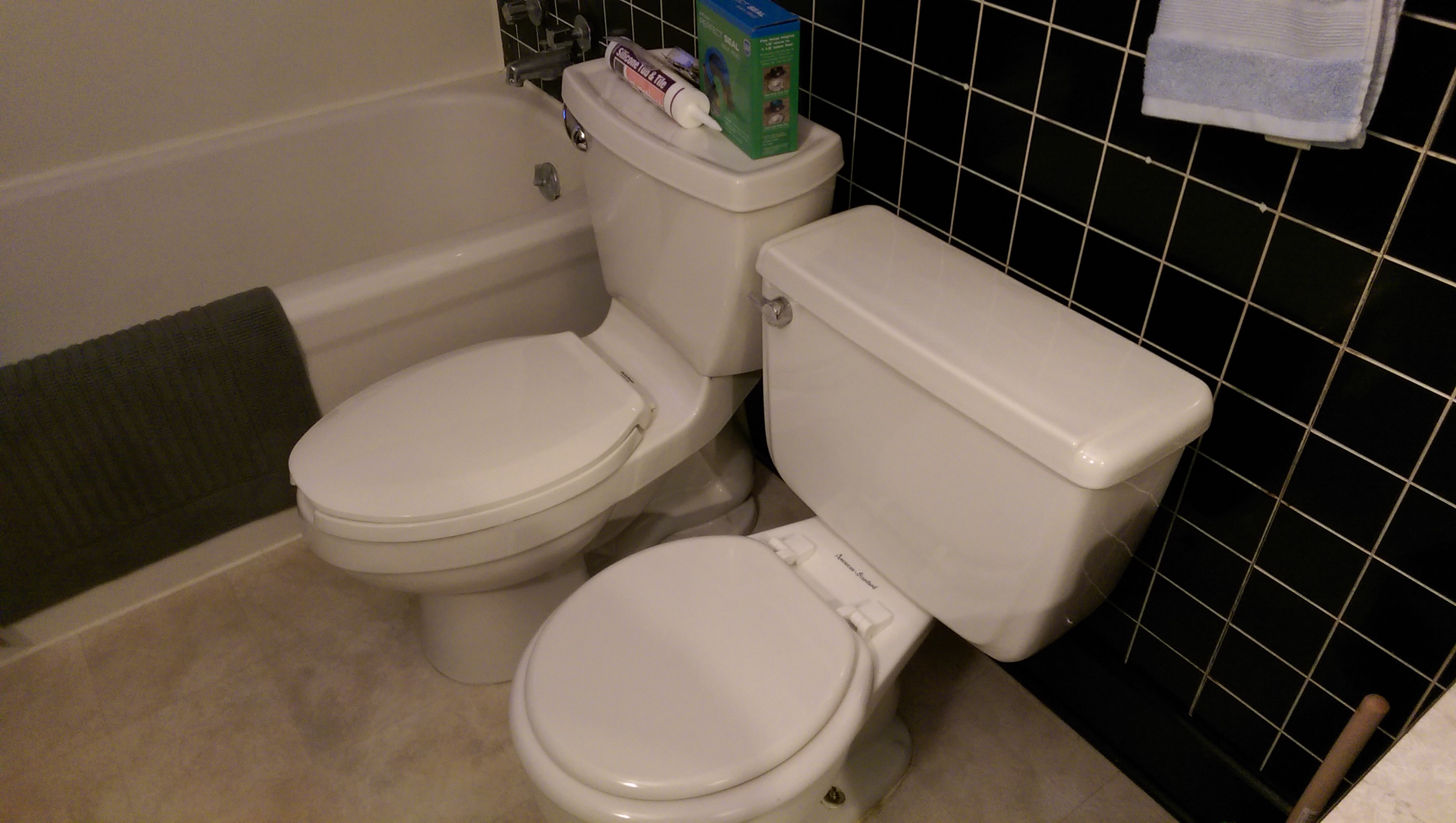 Happy New Years! The Toilet Swapping Special