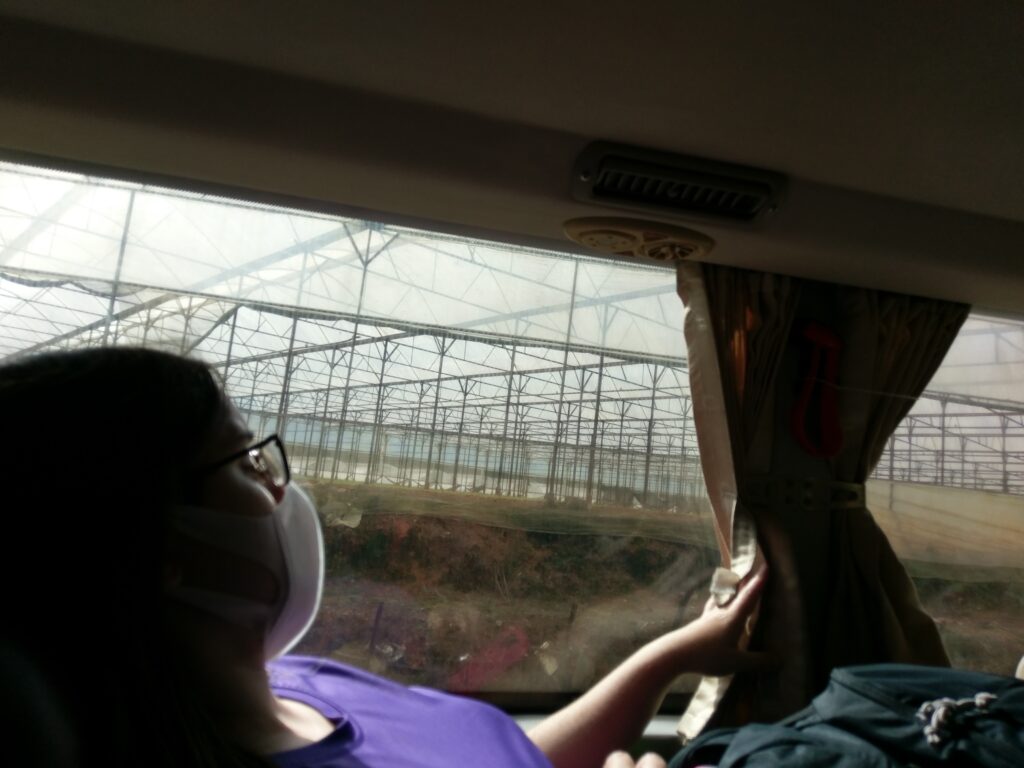 DaLatGreenhouse